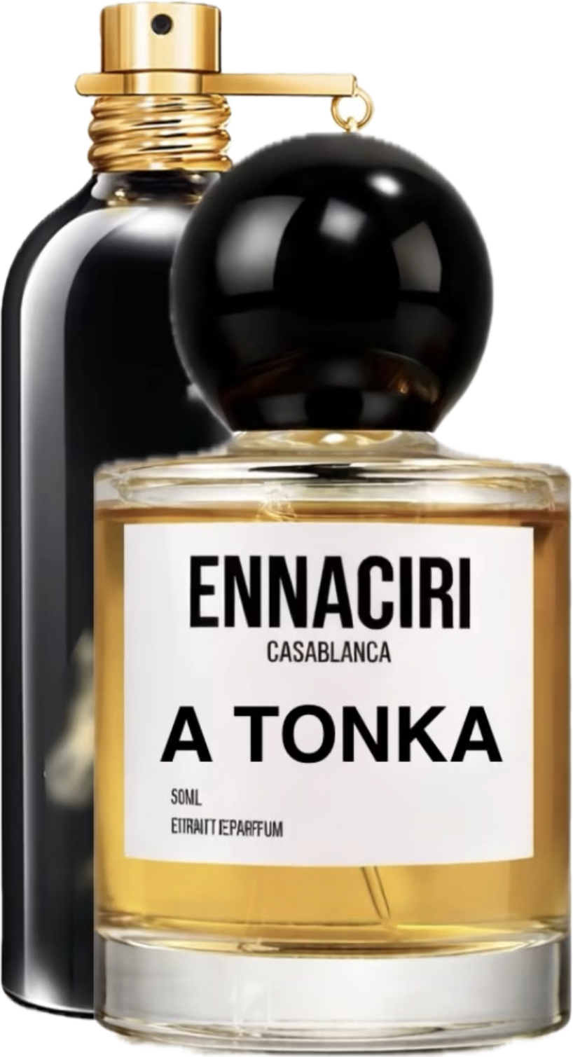 A TONKA - inspiriert von Arabians Tonka©