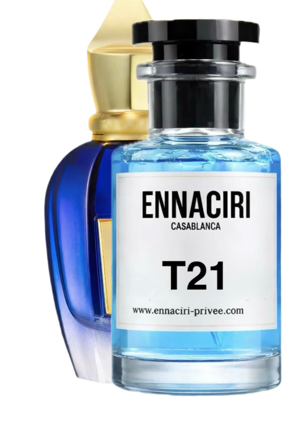 T 21 - inspiriert von Torino 21©