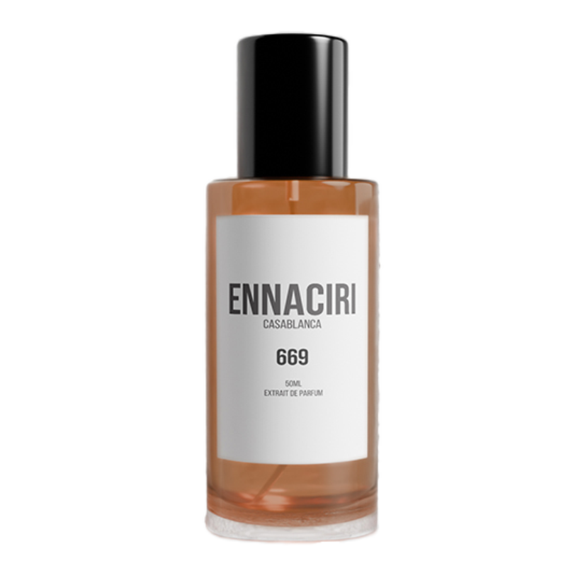 NO 669 - inspiriert von Ombré Leather©